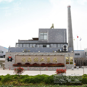 Dongtai Coastal Zinc Industry Group Co., Ltd.